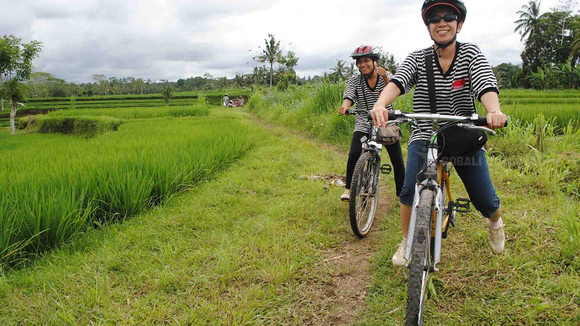 hutan-bali-cycling