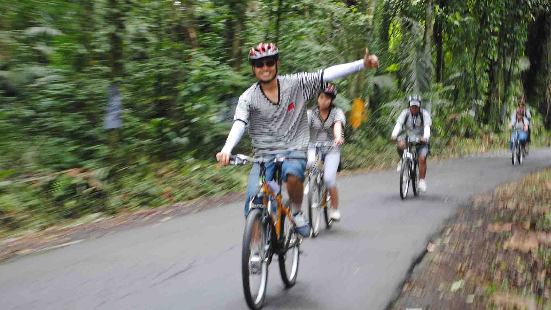 hutan-bali-cycling